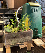 KOMAZAWA MOAI FARM の夏祭りで出張 「雨庭相談会」の写真２