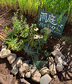 KOMAZAWA MOAI FARM の夏祭りで出張 「雨庭相談会」の写真３