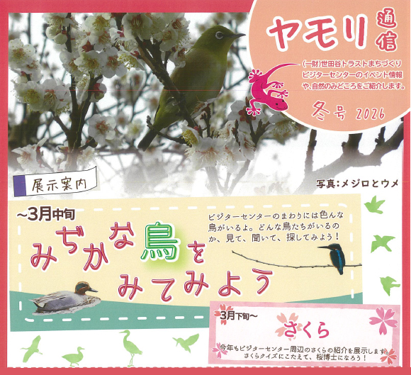 ヤモリ通信2025冬号 発行しました