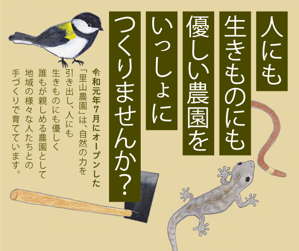 生きもの博士から学び、虫の小さな住処をつくります！の画像