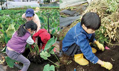 地域につながる野菜づくり実践講座の画像