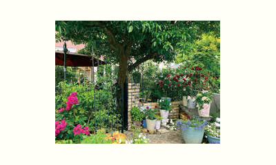 地域につながる野菜づくり実践講座の画像