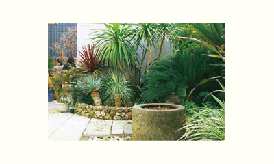 地域につながる野菜づくり実践講座の画像