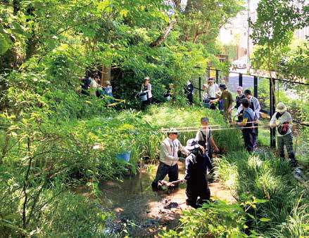 地域につながる野菜づくり実践講座の画像