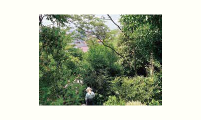 地域につながる野菜づくり実践講座の画像