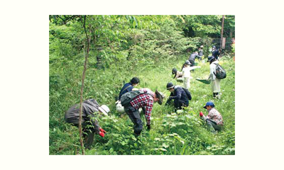 地域につながる野菜づくり実践講座の画像
