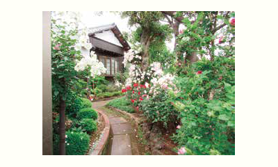 地域につながる野菜づくり実践講座の画像