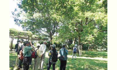 地域につながる野菜づくり実践講座の画像