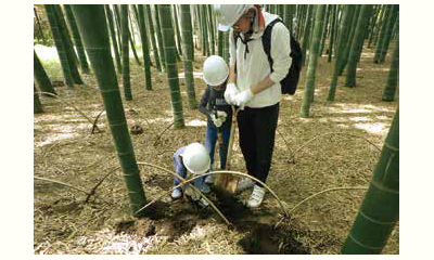 地域につながる野菜づくり実践講座の画像