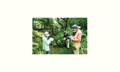 地域につながる野菜づくり実践講座の画像