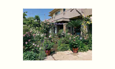 地域につながる野菜づくり実践講座の画像