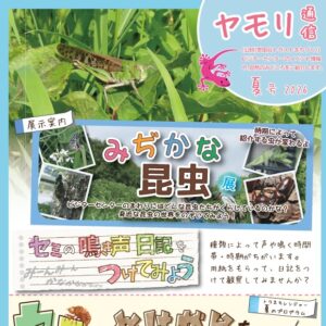 「ヤモリ通信」2026夏号を発行しました