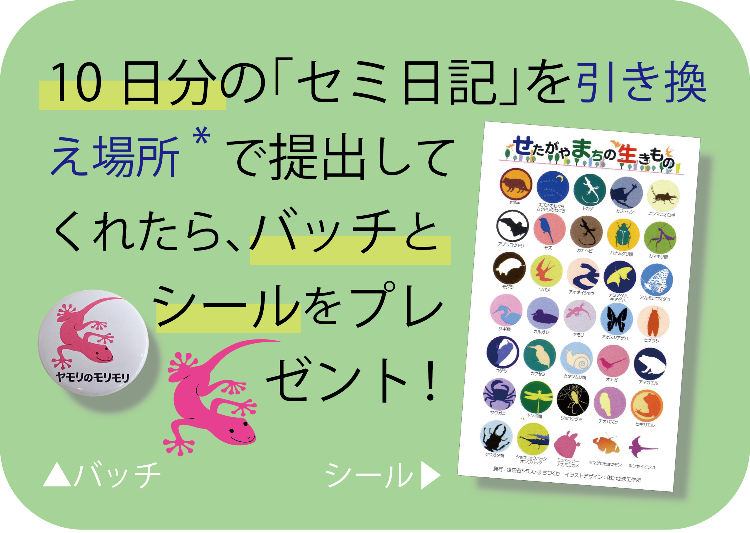 セミ日記提出でバッチとシールをm¥プレゼント