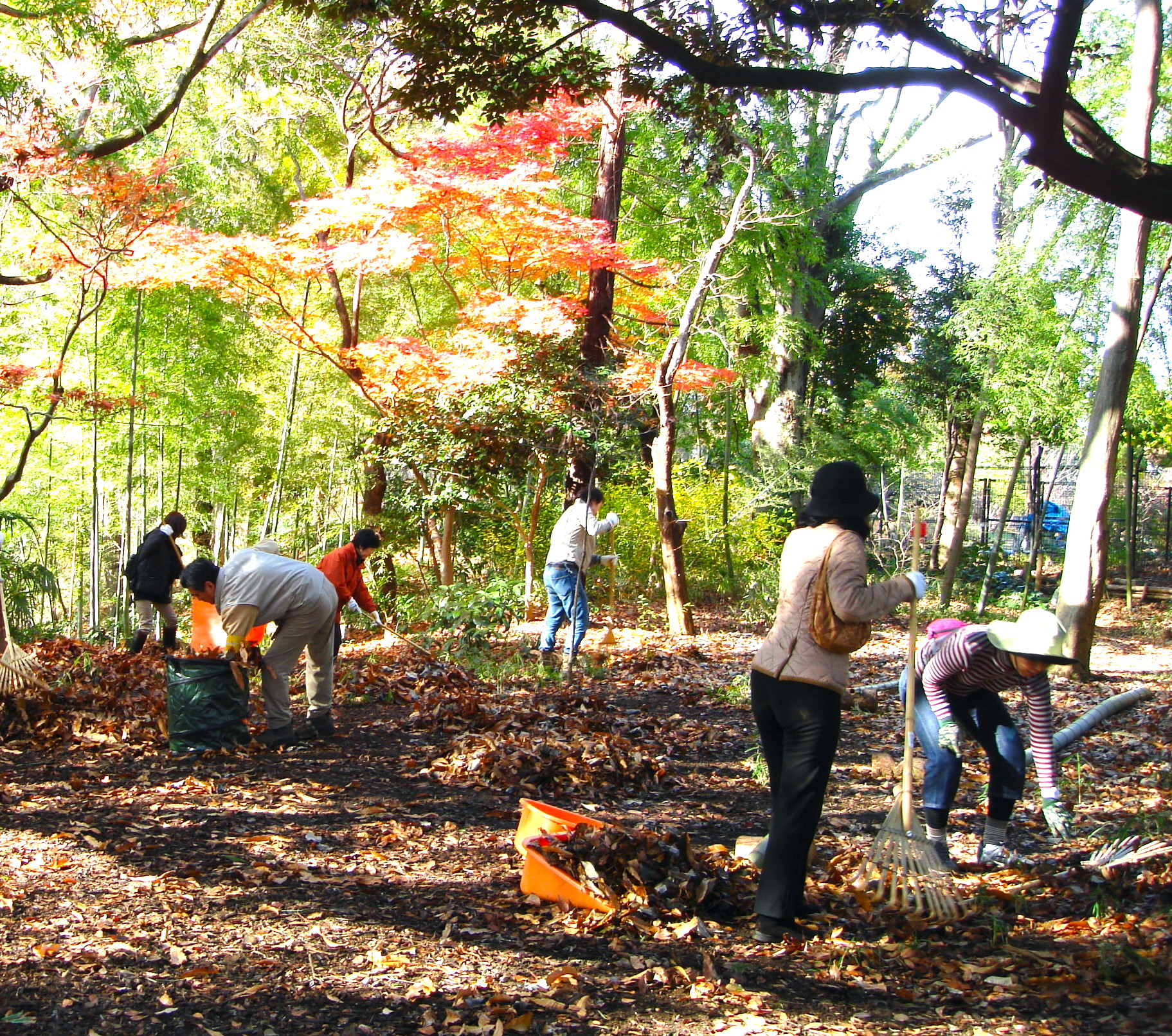地域につながる野菜づくり実践講座の画像