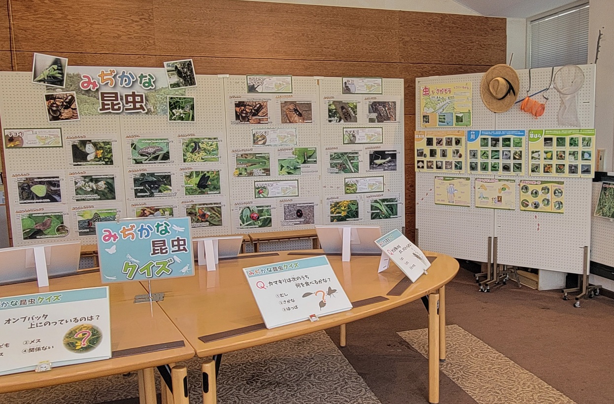 <small>ビジターセンター展示</small><br/>みぢかな昆虫展