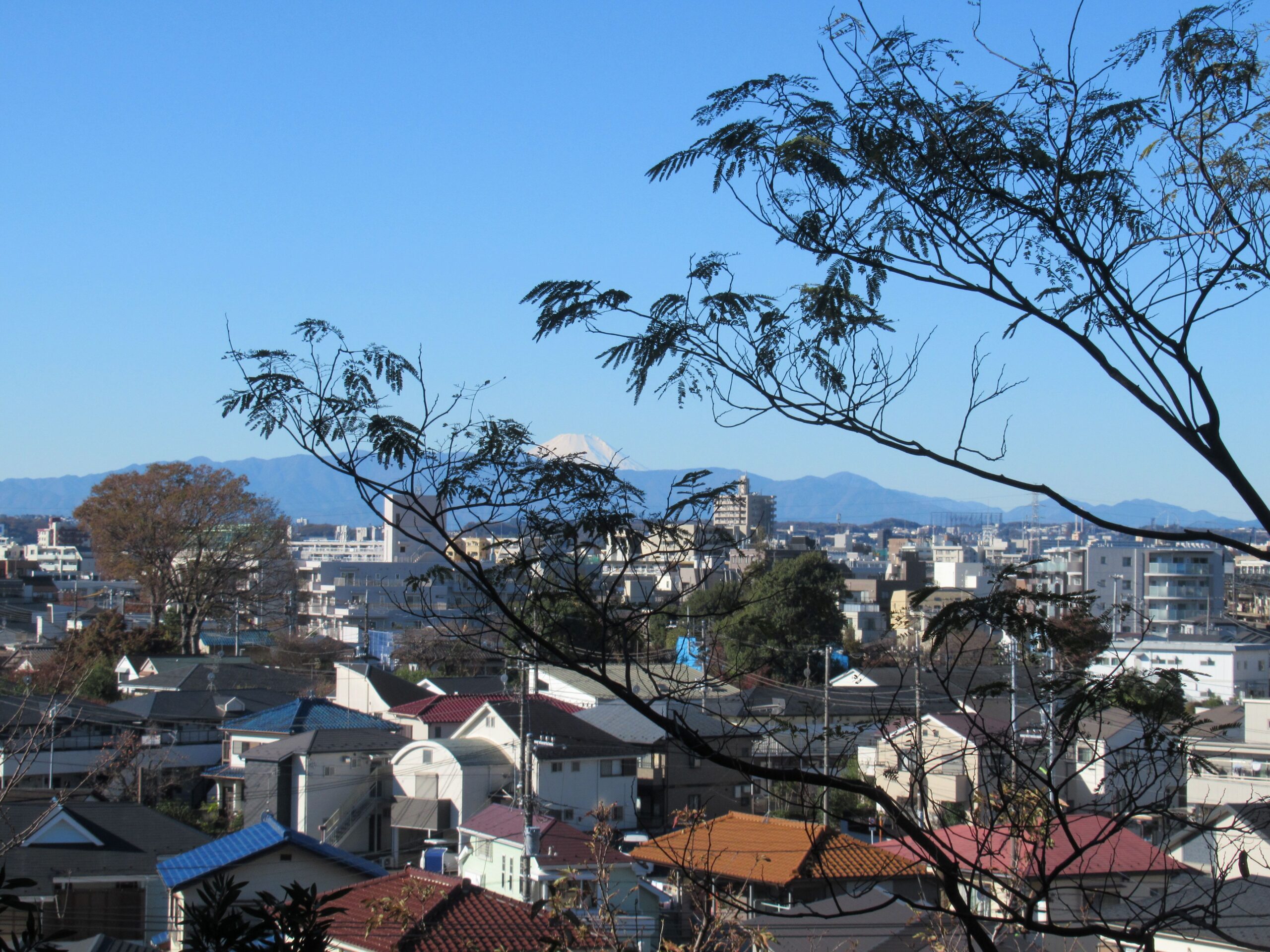 地域につながる野菜づくり実践講座の画像