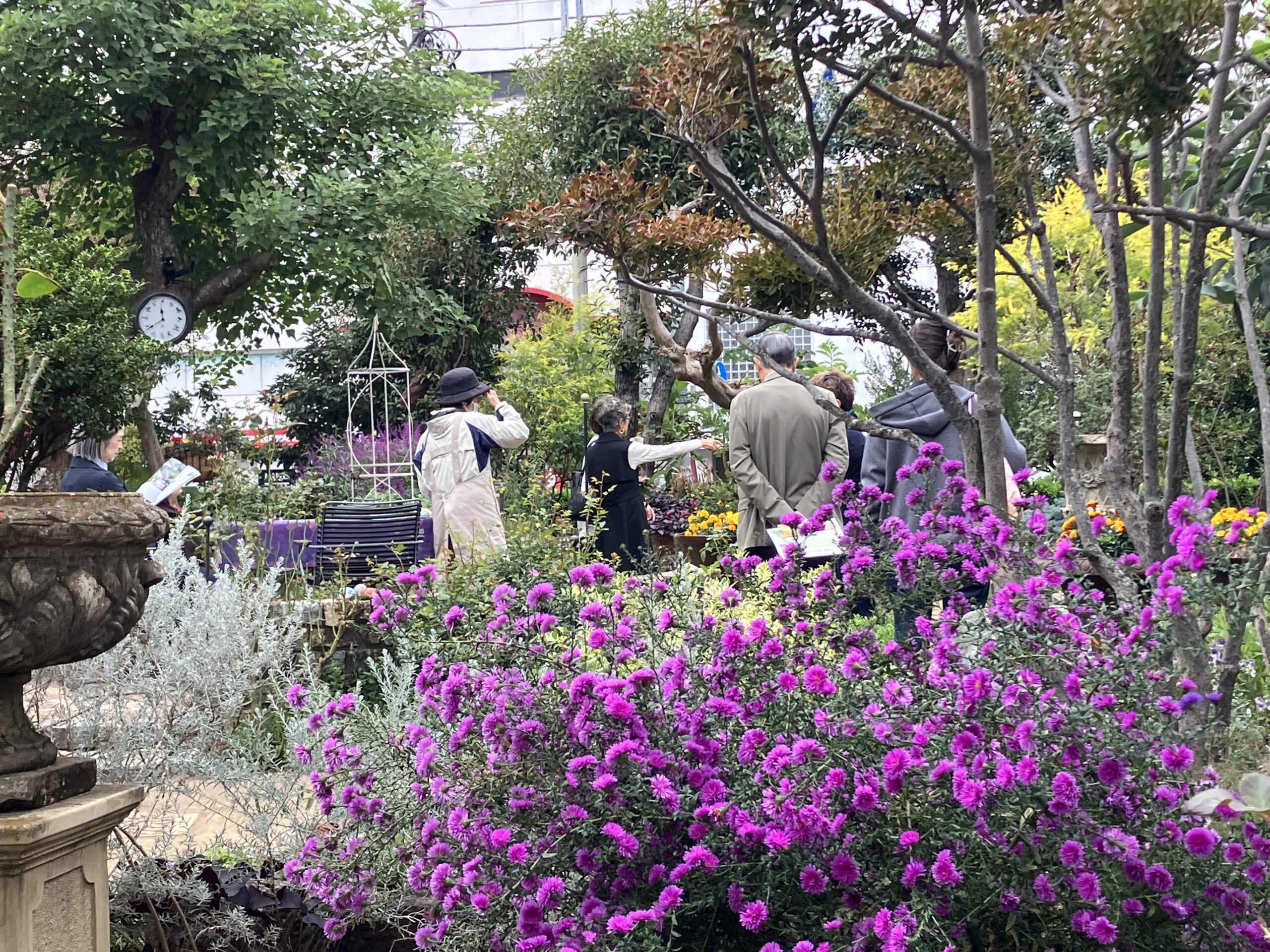 参加したい・学びたい