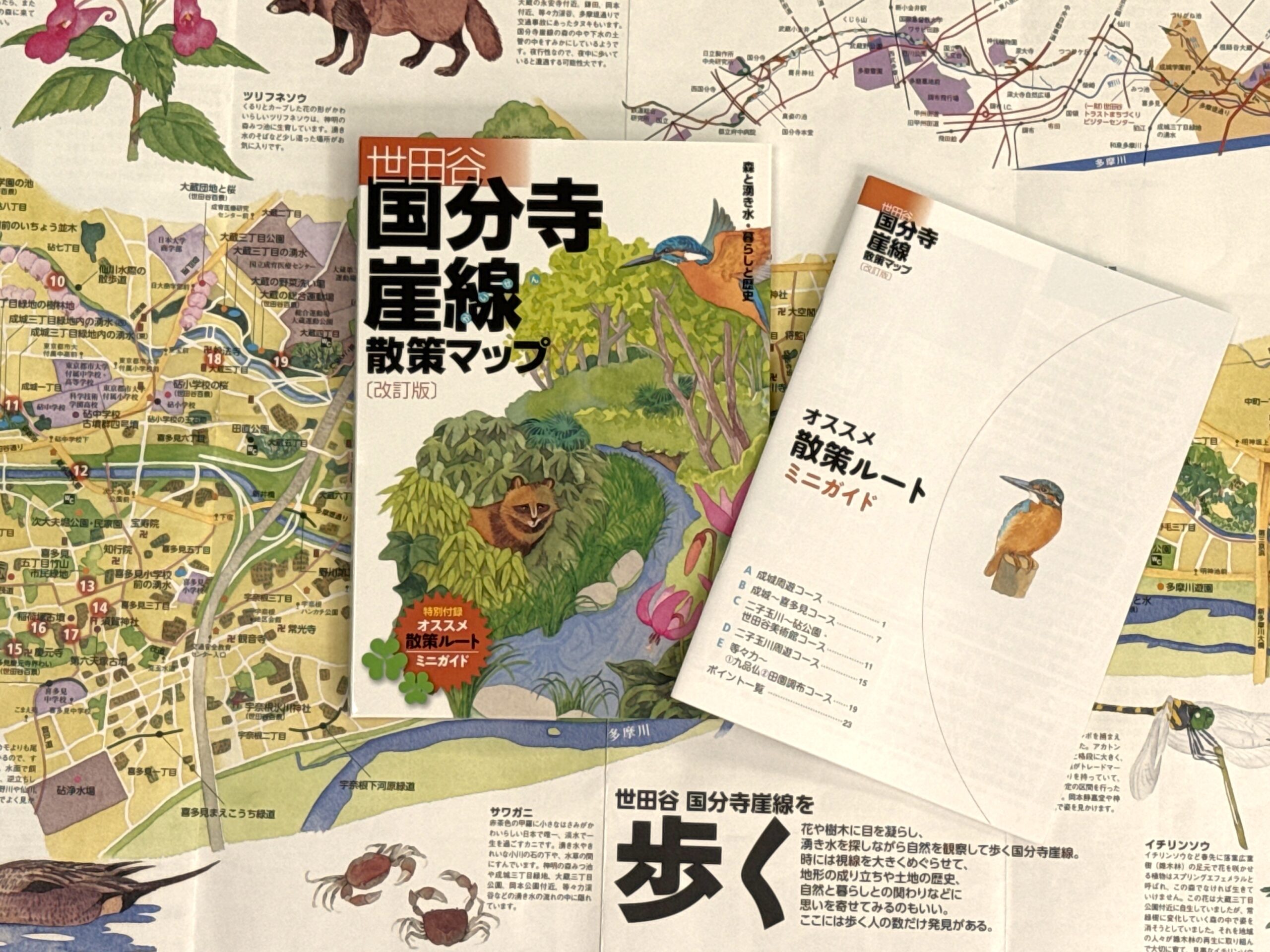 世田谷国分寺崖線散策マップ［改訂版］の画像